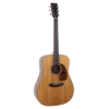 Recording King RD T16, akustična gitara - Music Wheel
