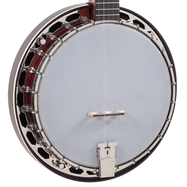 RECORDING KING RKH-05, banjo - prednji dio