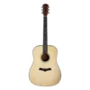 ARROW Bronze NT akustična gitara - prednja strana