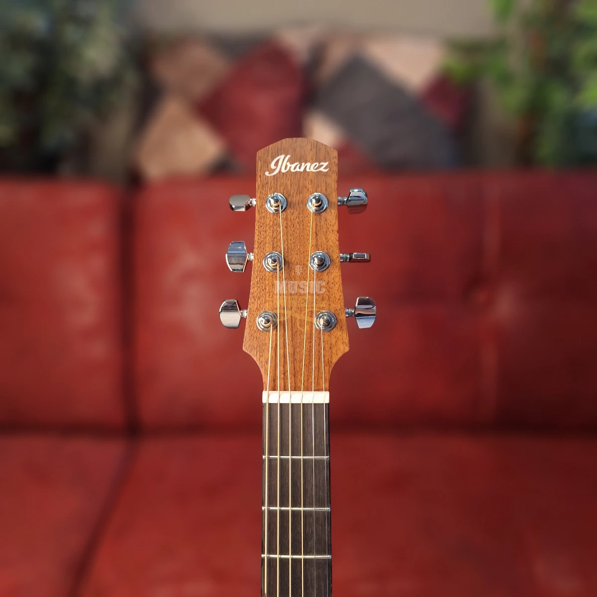 IBANEZ AAM54CE-OPN, elektro-akustična gitara - headstock slika