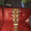 MARTIN GPC-X2E Ziricote, elektro-akustična gitara - headstock (1)