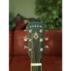 ARROW Gold Tobacco Burst Dreadnought, akustična gitara - headstock