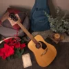 EASTMAN PCH1-D Natural, akustična gitara, certifikat i torba