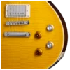 Epiphone Kirk Hammett _Greeny_ 1959 Les Paul Standard Greeny Burst, električna gitara - pickupovi i kontrole