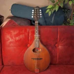 EASTMAN PCH-M104 Classic, mandolina A-stil + torba slika