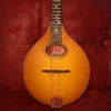 EASTMAN PCH-M104 Goldburst, mandolina A-stil - prednja ploča slika
