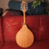 EASTMAN PCH-M104 Goldburst, mandolina A-stil - zadnja strana slika