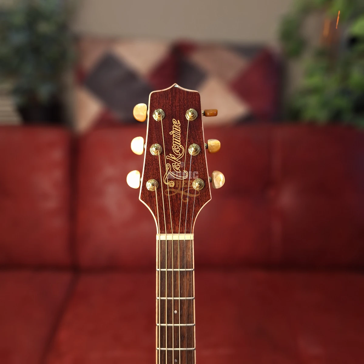 TAKAMINE GD71CE-BSB, elektro-akustična gitara - headstock slika