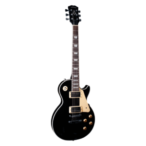 ARROW Riffster LP 22 Abyss Black Rosewood/White LTD, električna gitara
